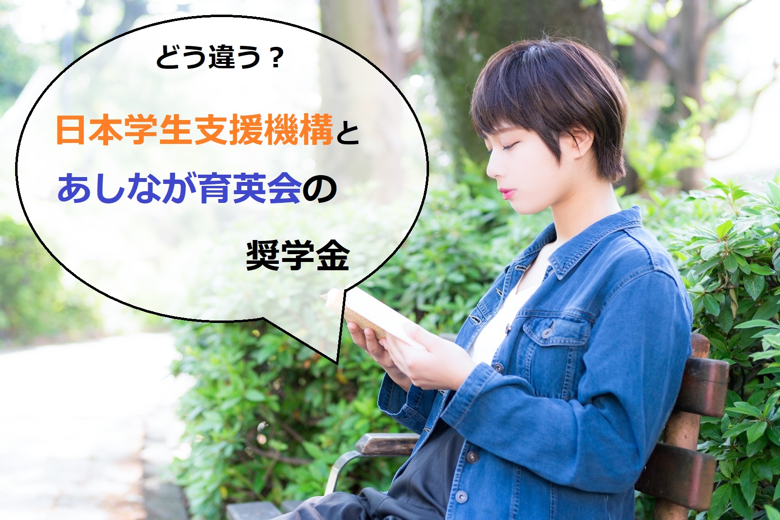 ベンチで読書をしている女性「どう違う？日本学生支援機構とあしなが育英会の奨学金」
